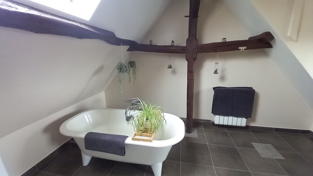 Photo of Bathroom in Mialet