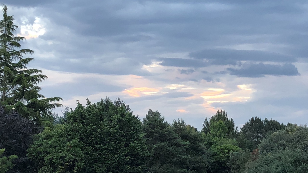 Photo of Outdoor in Angresse