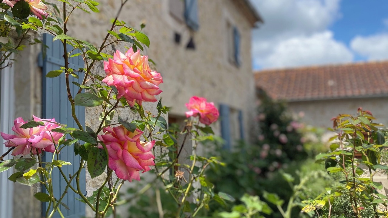 Photo of Outdoor in Sainte-Colombe-de-Villeneuve