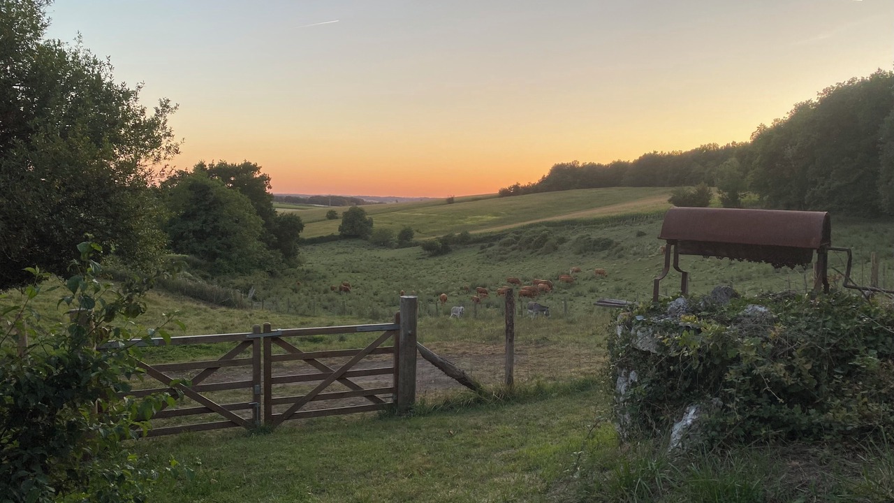 Photo of Outdoor in Coteaux du Blanzacais