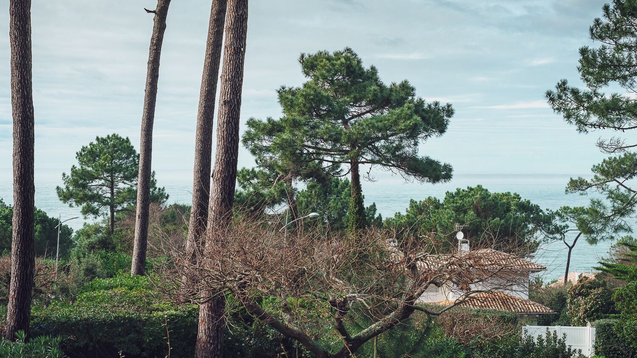 Photo of Bedroom in Pyla-sur-Mer