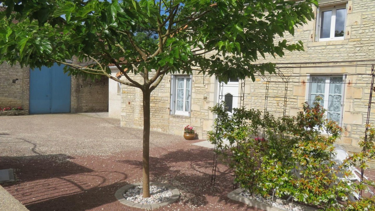 Photo of Outdoor in Puyreaux