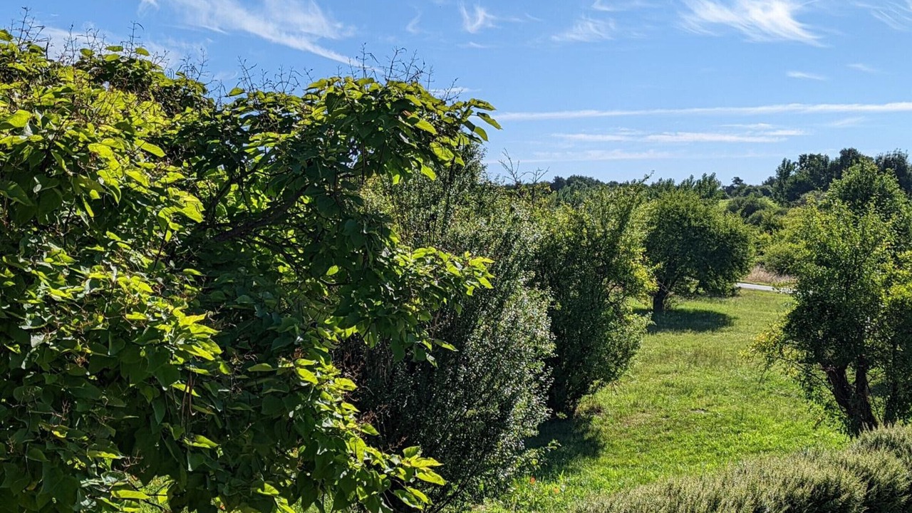 Photo of Outdoor in Chadurie