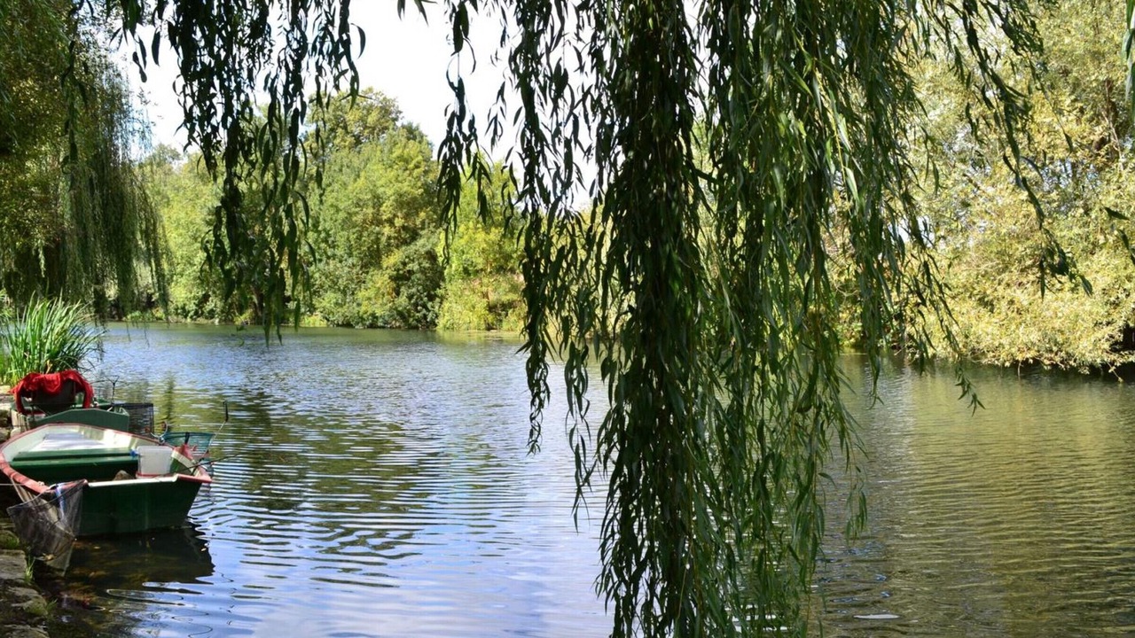 Photo of Outdoor in Saint-Genis-d'Hiersac