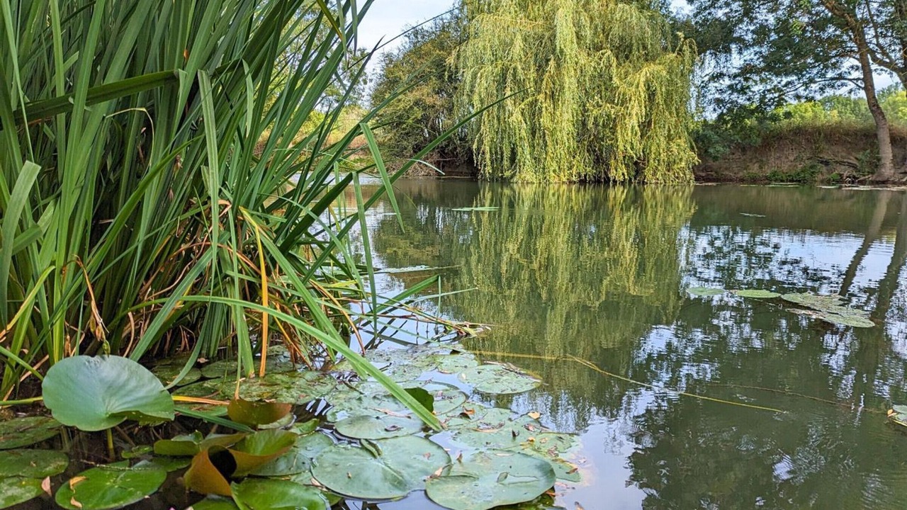 Photo of Outdoor in Saint-Genis-d'Hiersac