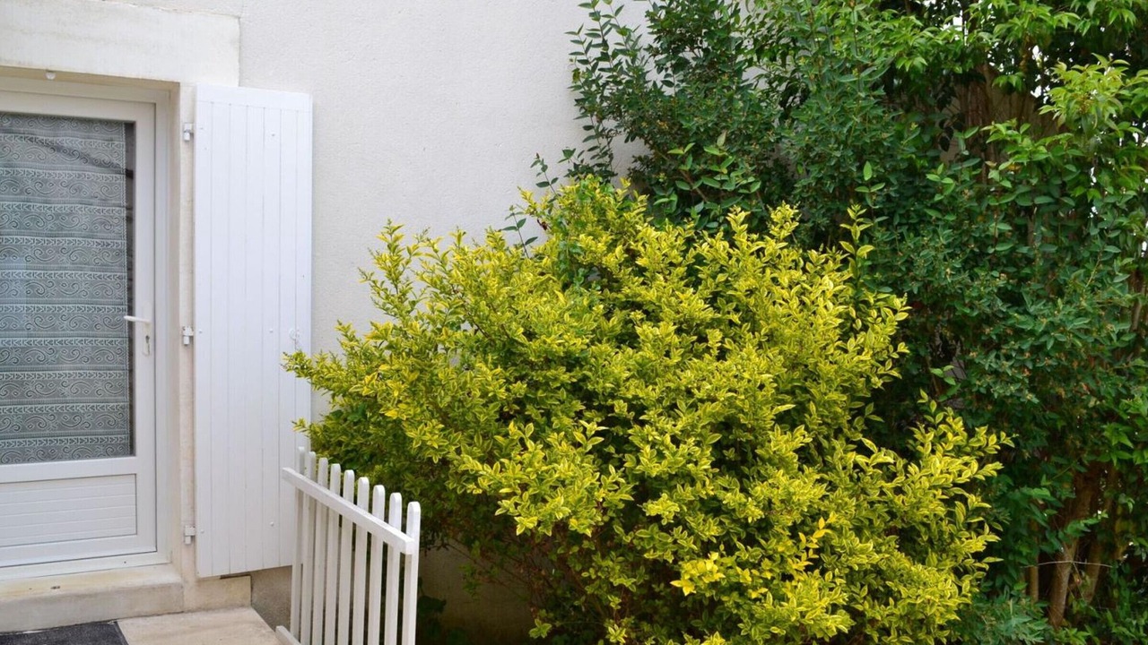Photo of Outdoor in Saint-Sulpice-de-Cognac