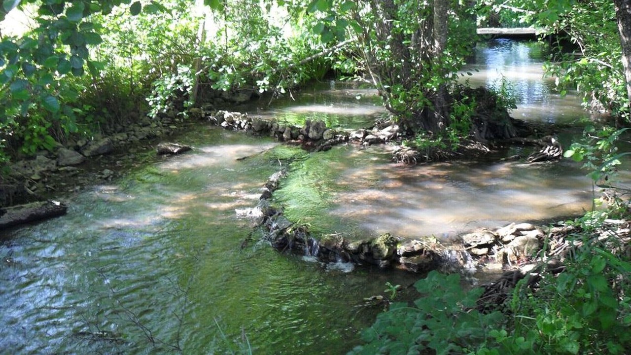 Photo of Outdoor in Cellefrouin