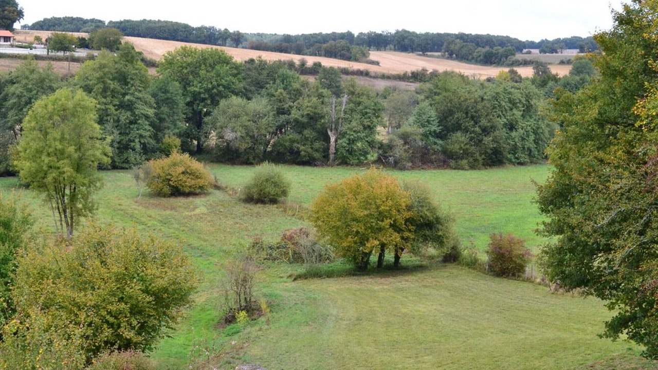 Photo of Outdoor in Cellefrouin