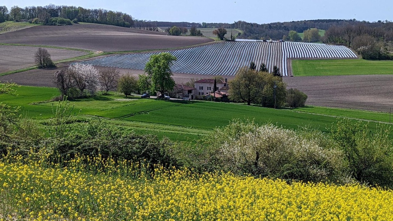 Photo of Outdoor in Chadurie