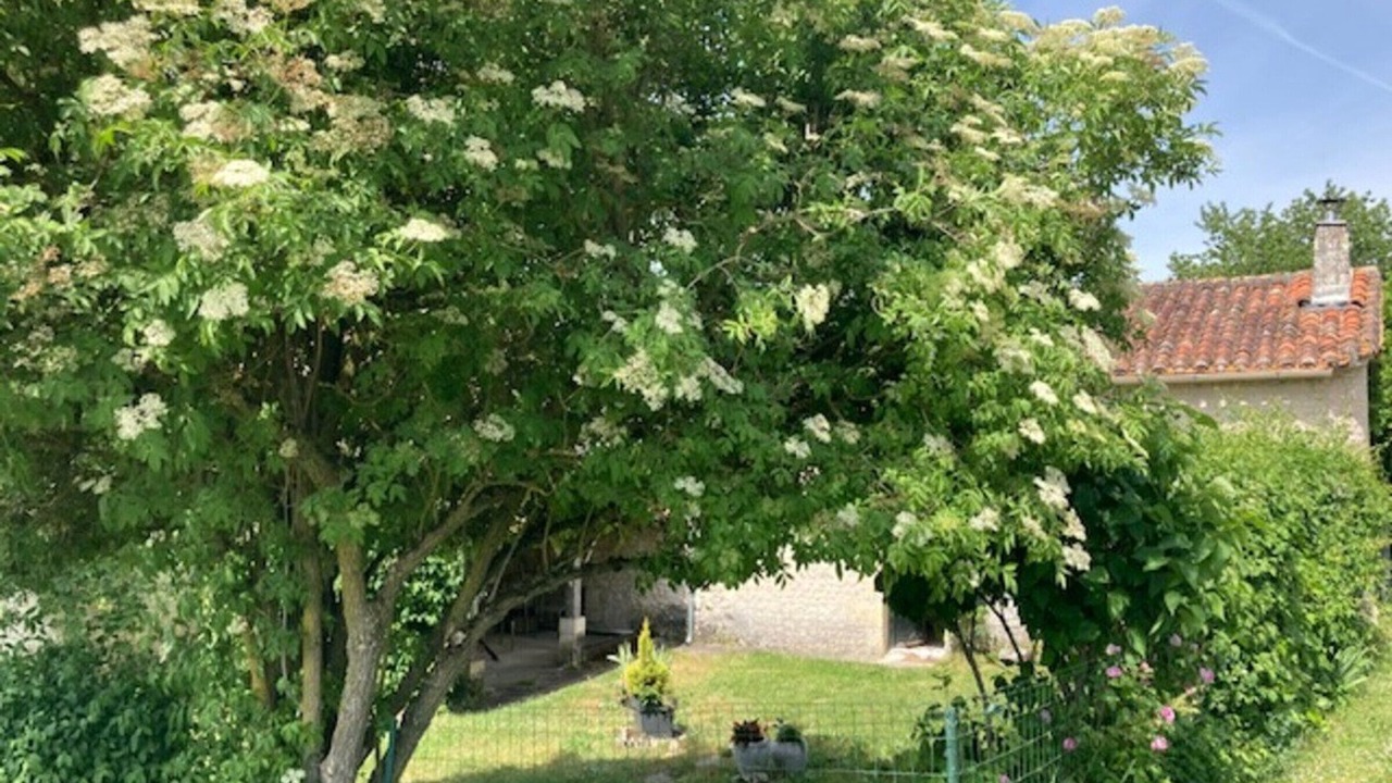 Photo of Outdoor in Chadurie