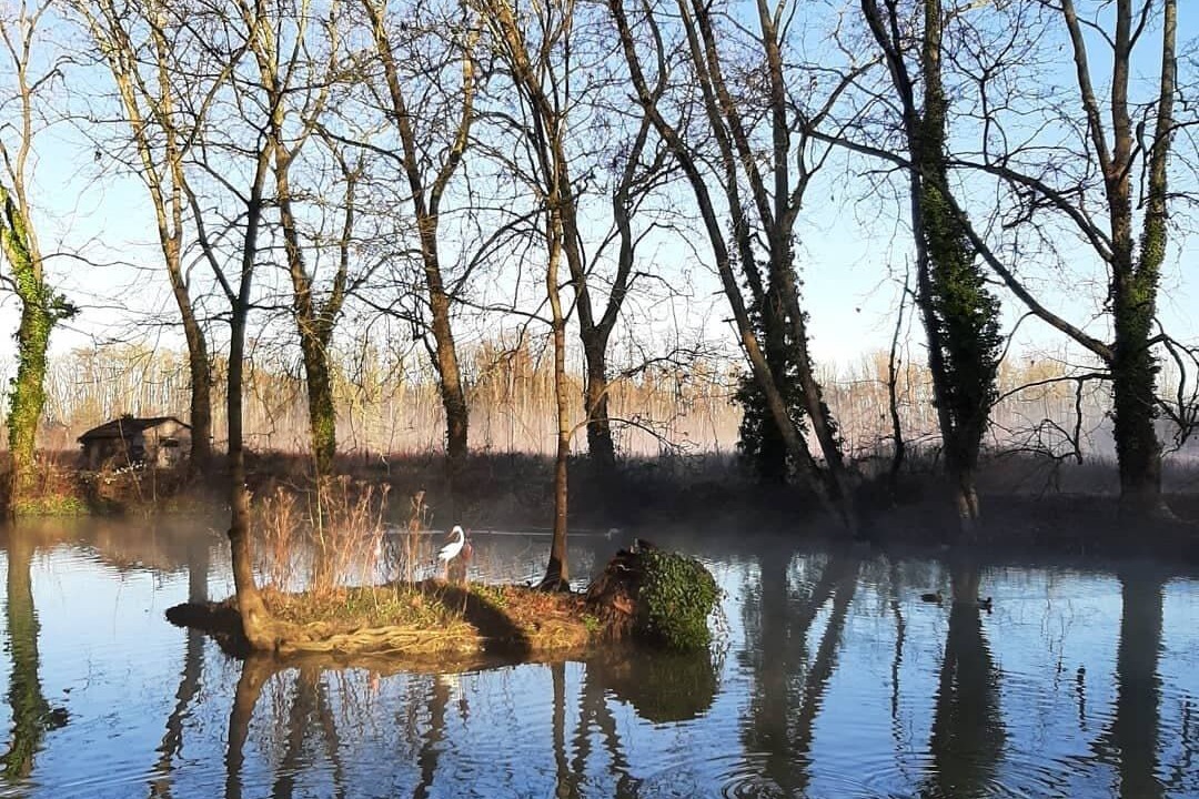 Photo of Others in Saint-Pierre-de-l'Isle