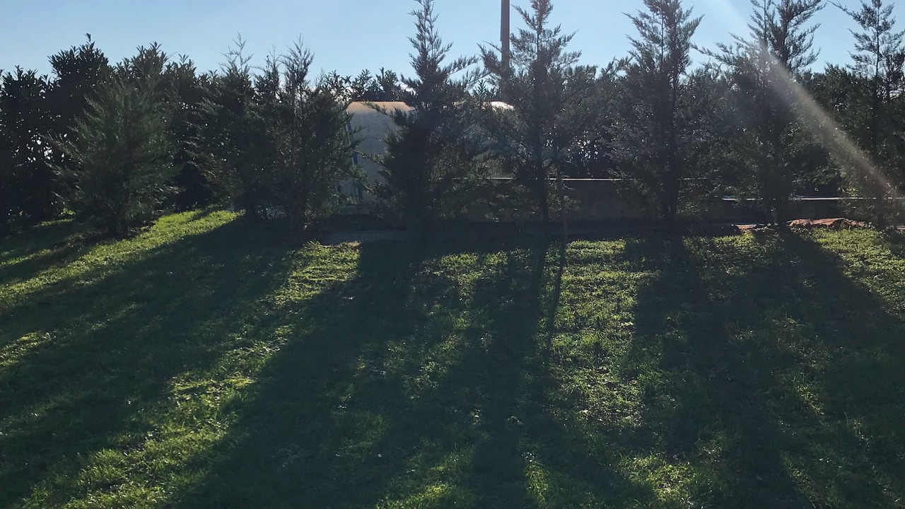 Photo of Outdoor in Boisne-la-Tude