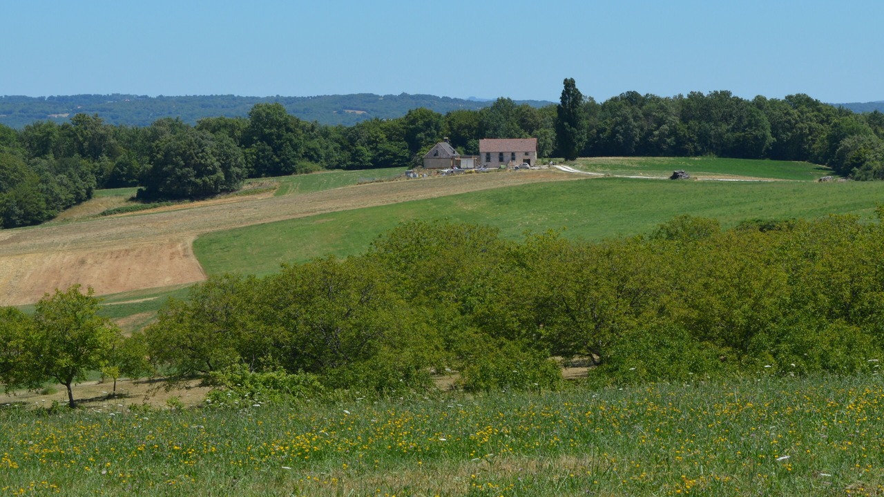 Photo of Others in Saint-Amand-de-Coly