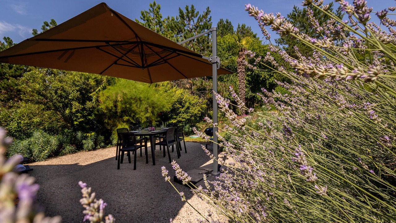 Photo of Outdoor in Nerac