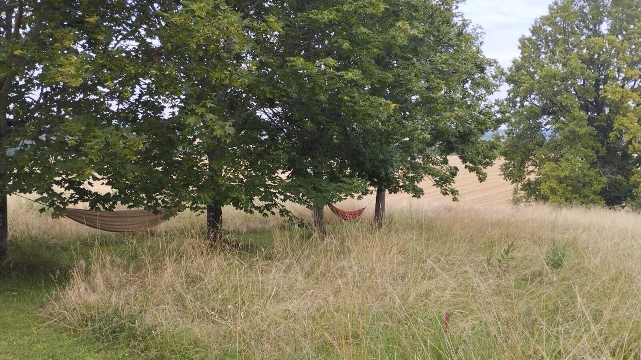 Photo of Others in Montboyer