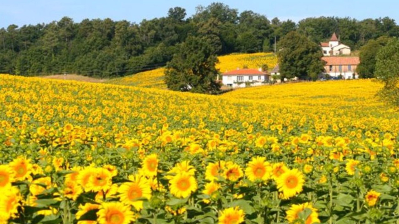 Photo of Outdoor in Montboyer