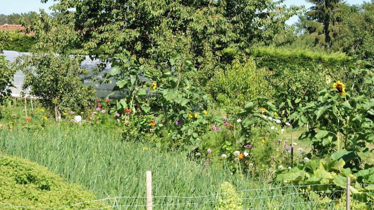 Photo of Outdoor in Marsaneix