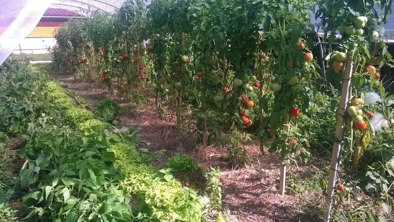 Photo of Outdoor in Marsaneix