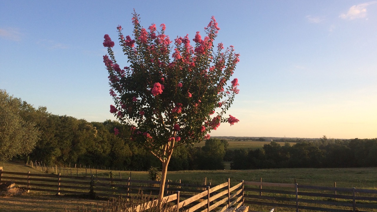 Photo of Outdoor in Chauray