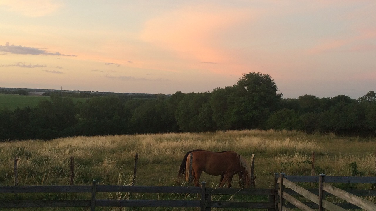 Photo of Outdoor in Chauray