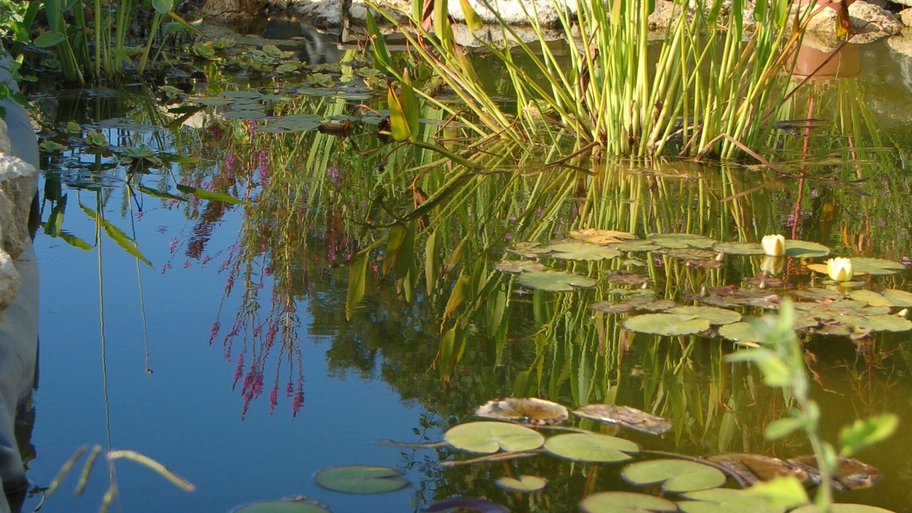Photo of Outdoor in Camblanes-et-Meynac