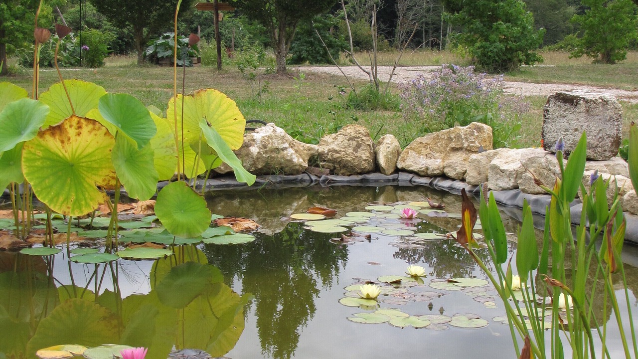Photo of Outdoor in Camblanes-et-Meynac