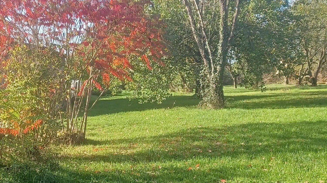 Photo of Outdoor in Chaunay