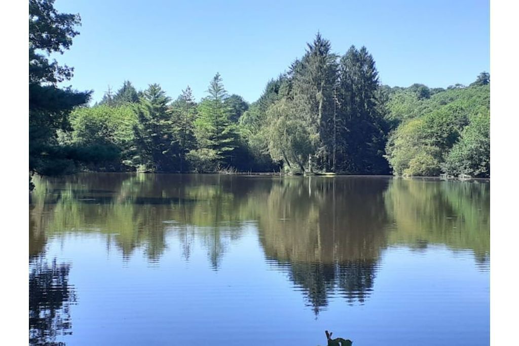 Photo of Outdoor in Bussiere-Galant