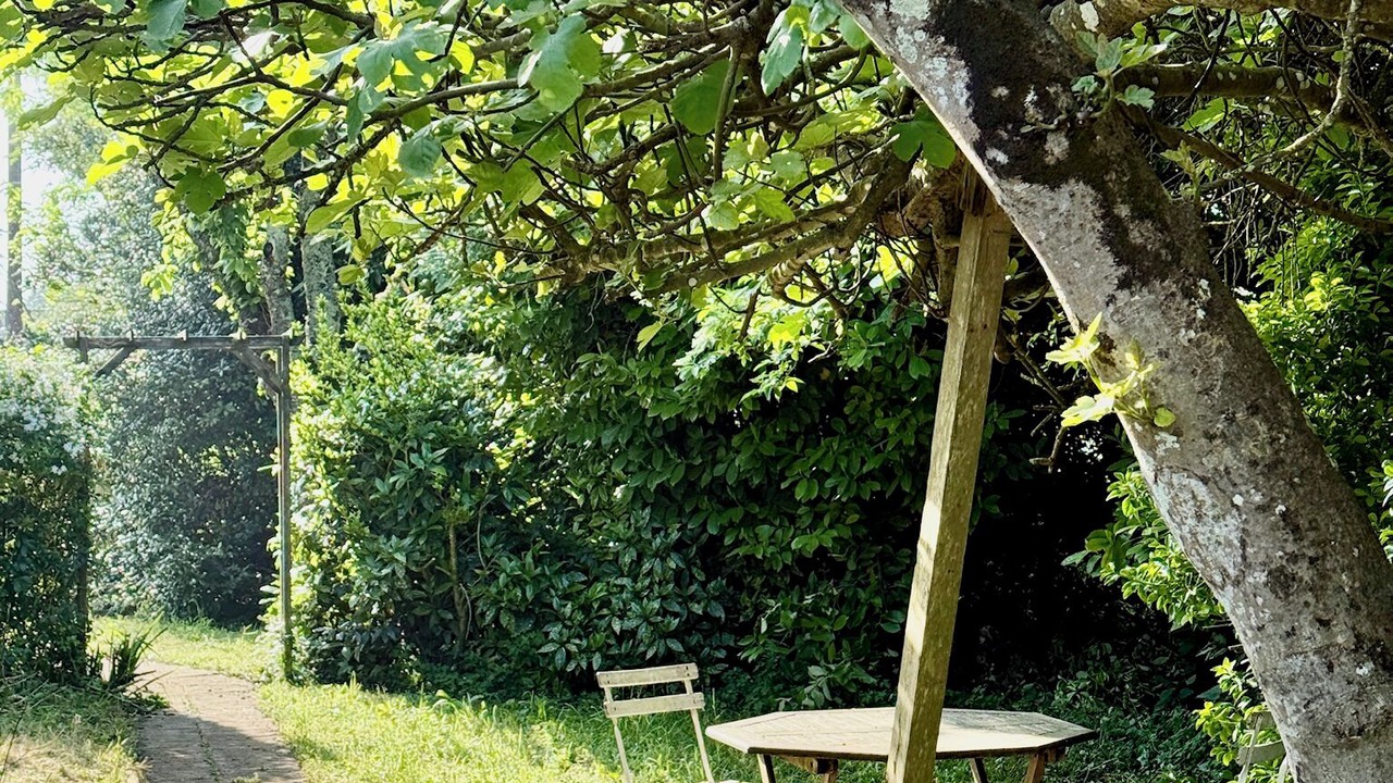 Photo of Outdoor in Saint-Sulpice-de-Royan