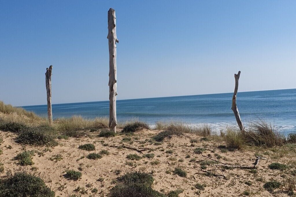Photo of Others in Saint-Pierre-d'Oleron