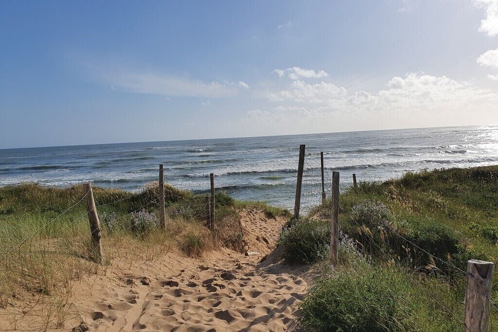 Photo of Others in Saint-Pierre-d'Oleron