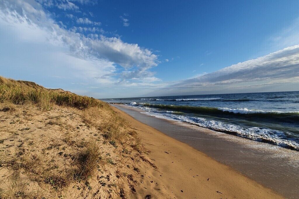 Photo of Others in Saint-Pierre-d'Oleron
