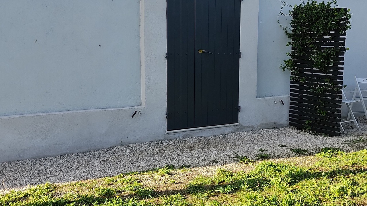 Photo of Outdoor in Paluds de Noves