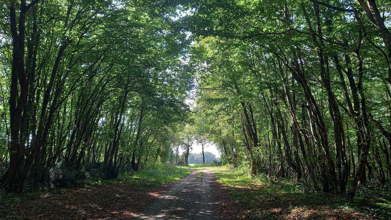 Photo of Outdoor in Vicq-sur-Gartempe