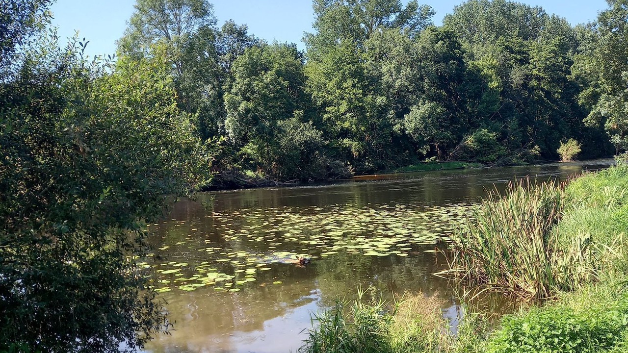 Photo of Outdoor in Vicq-sur-Gartempe