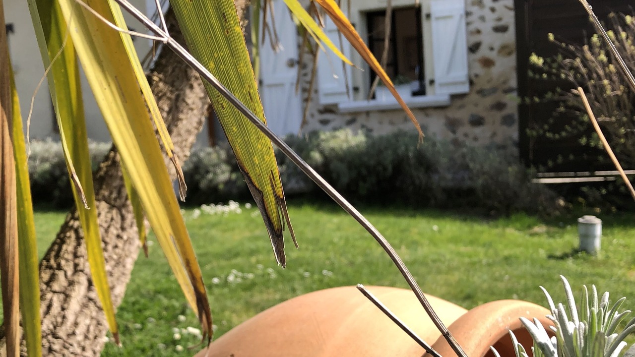 Photo of Outdoor in Charente