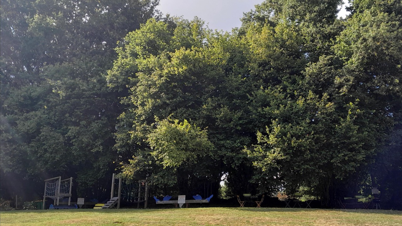 Photo of Outdoor in Saint-Sylvestre