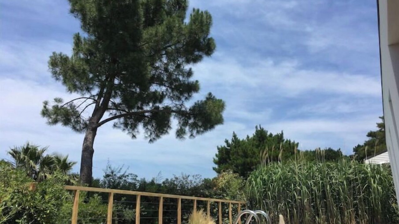 Photo of Outdoor in Kokotia