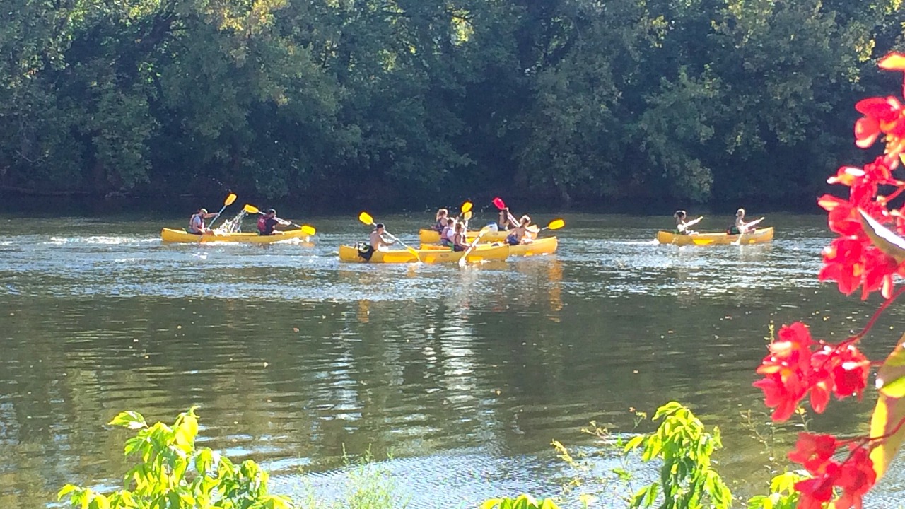 Photo of Others in Beaumont-du-Perigord