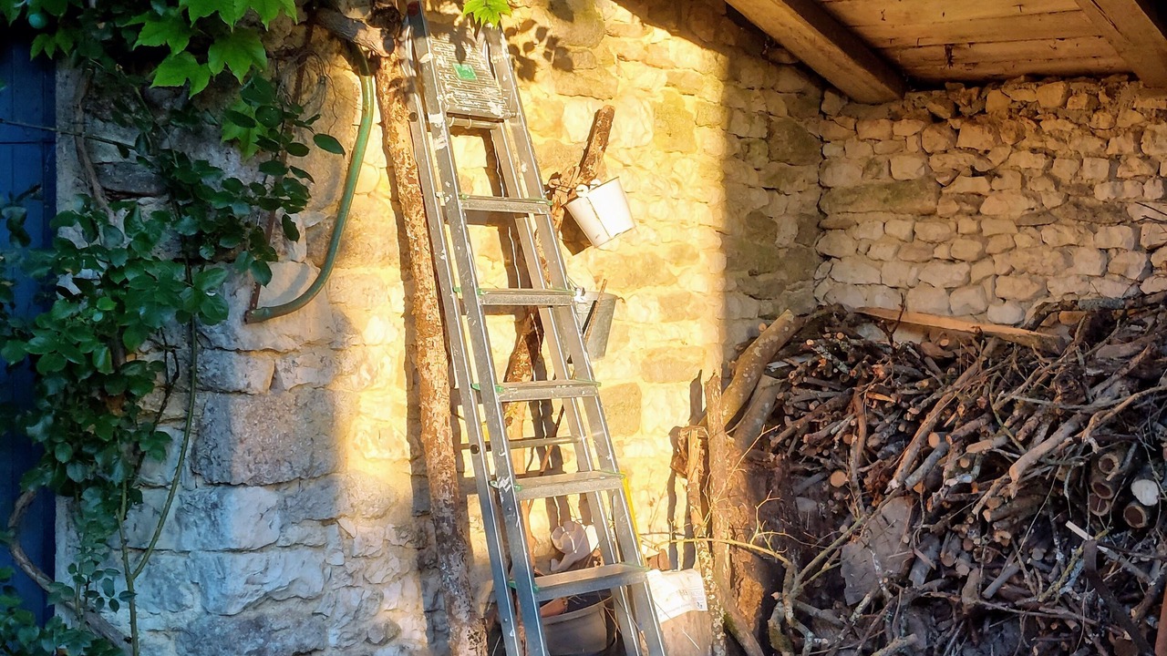 Photo of Outdoor in La Jarrie-Audouin