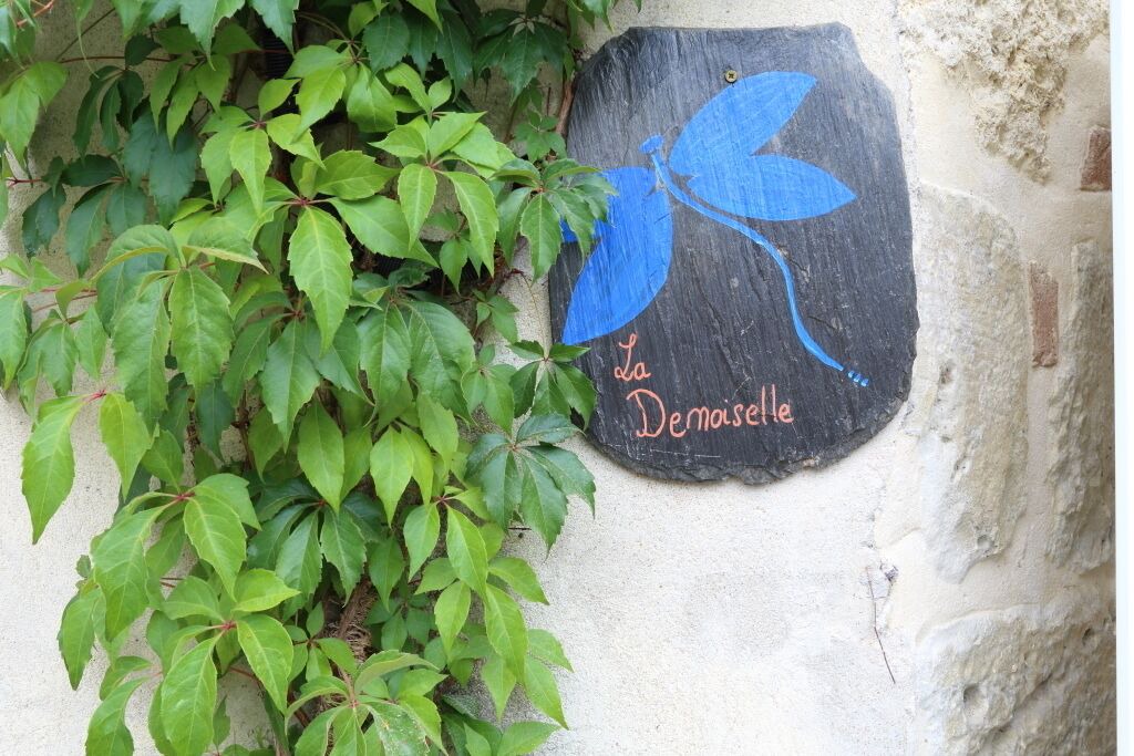 Photo of Outdoor in Saint-Seurin-de-Prats