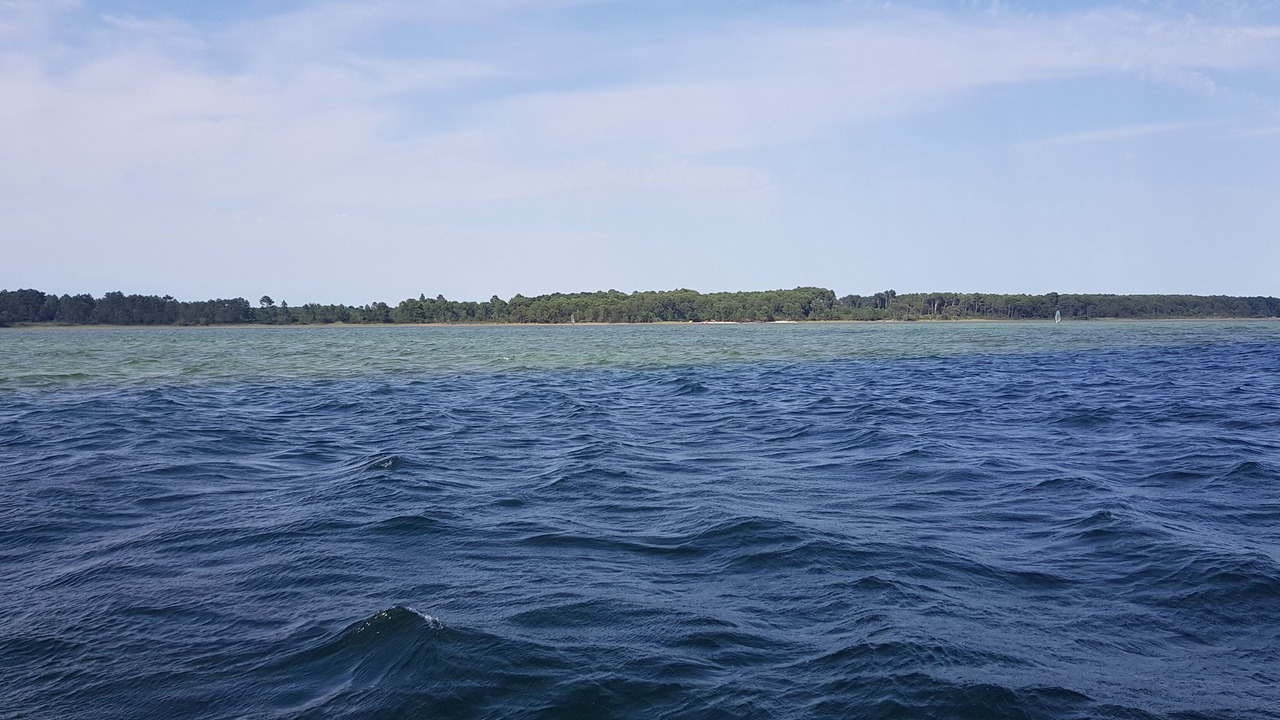 Photo of Others in Sanguinet