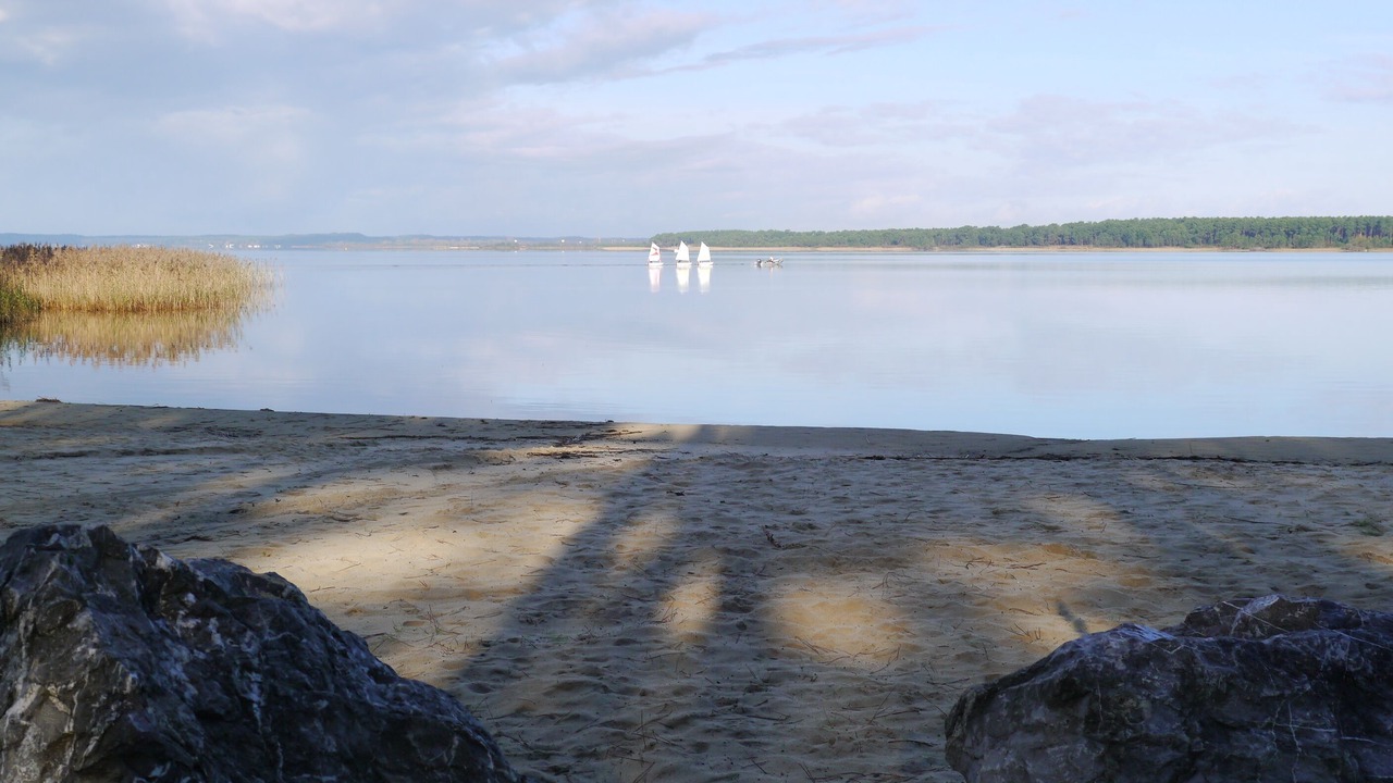Photo of Others in Sanguinet