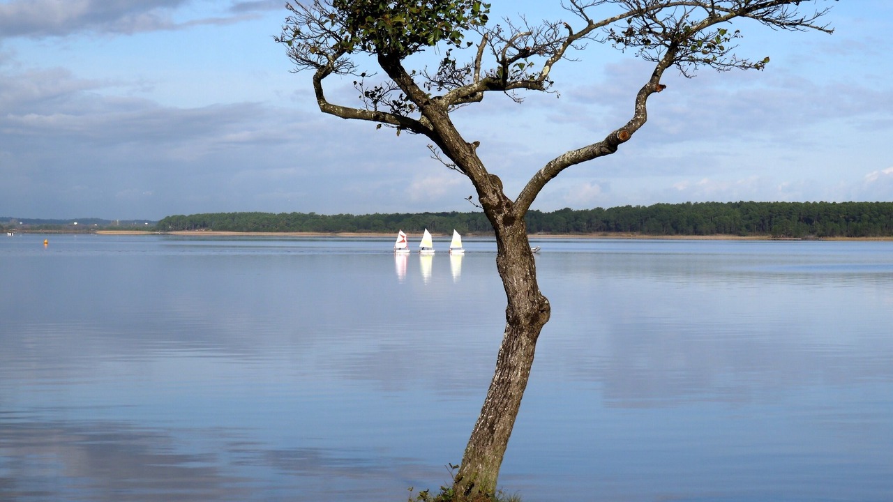 Photo of Others in Sanguinet