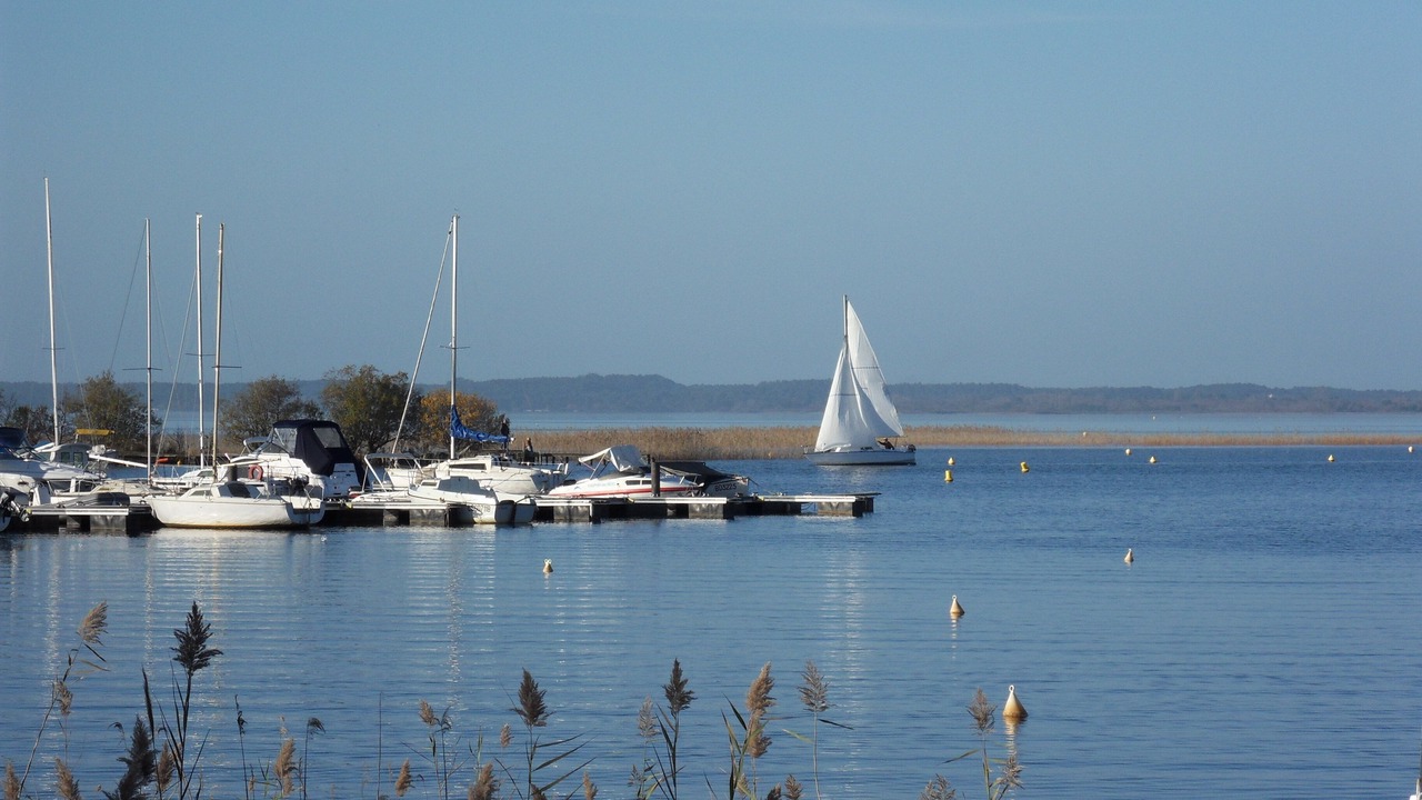 Photo of Others in Sanguinet