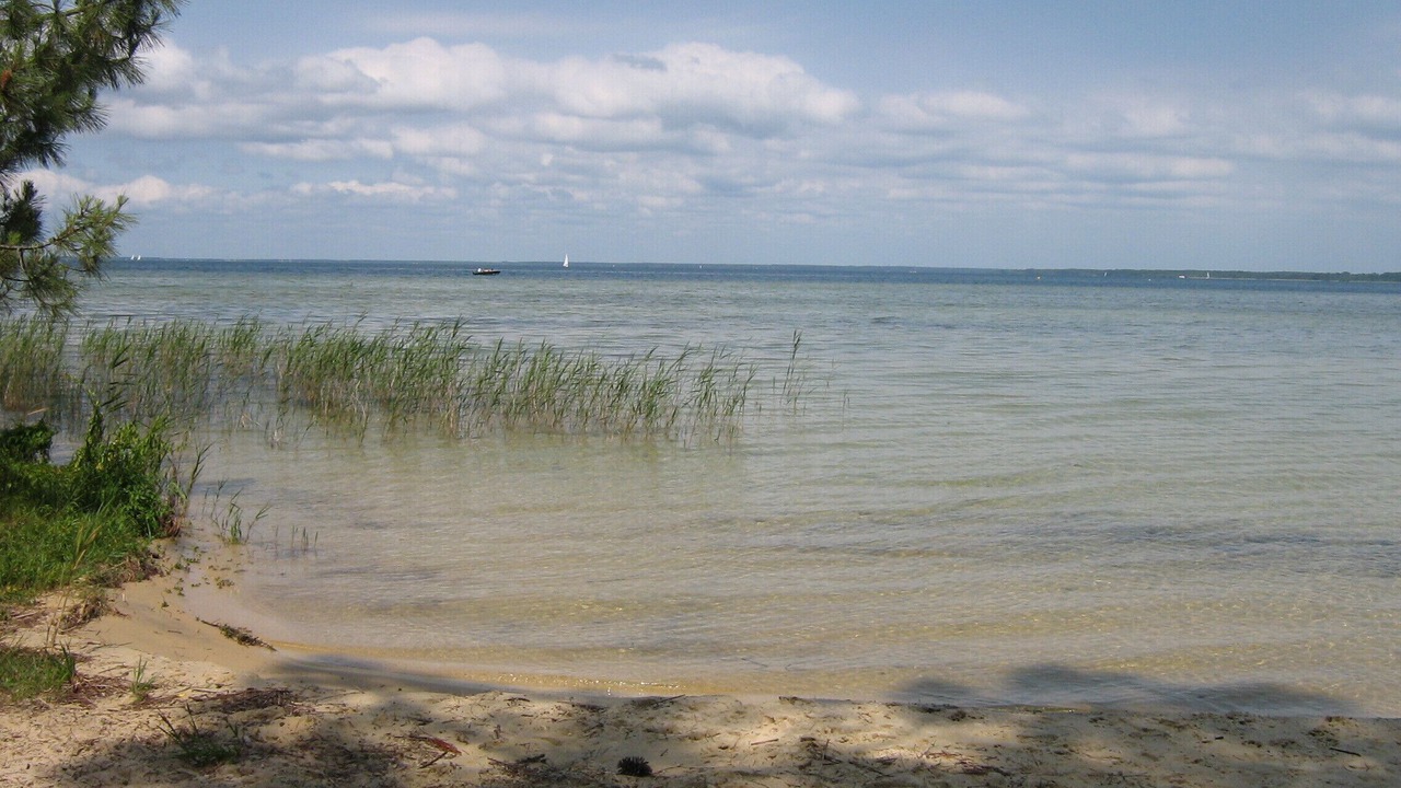 Photo of Others in Sanguinet