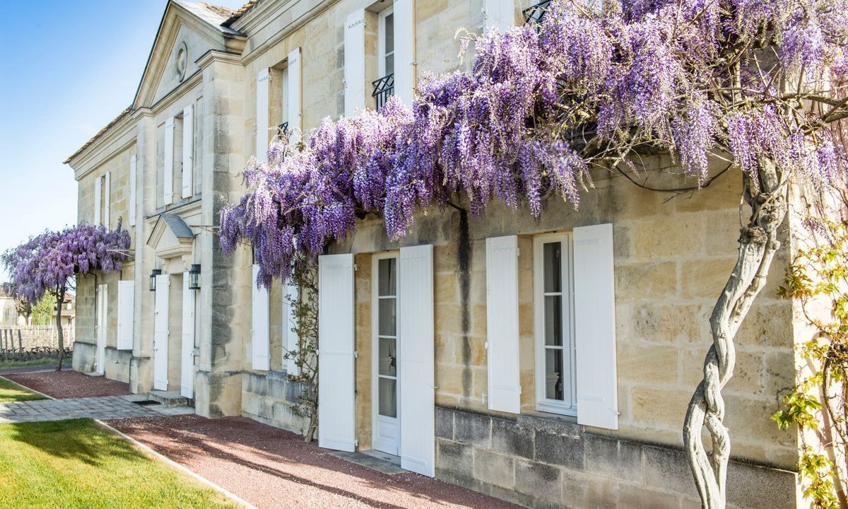 Photo of Others in Saint-Emilion