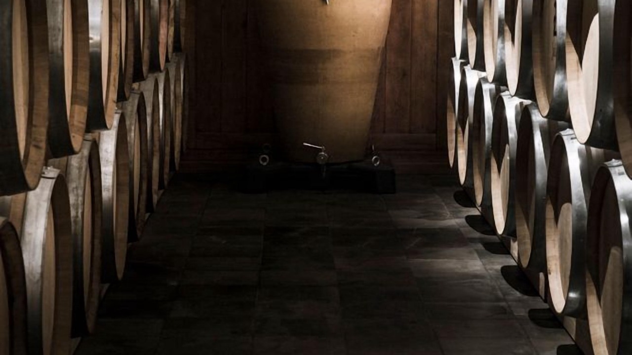 Photo of Others in Saint-Emilion