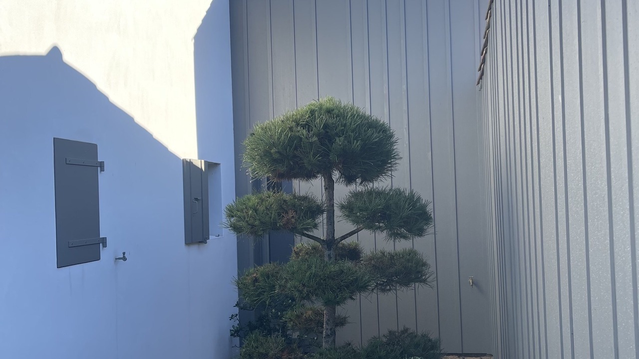 Photo of Outdoor in Les Portes-en-Re
