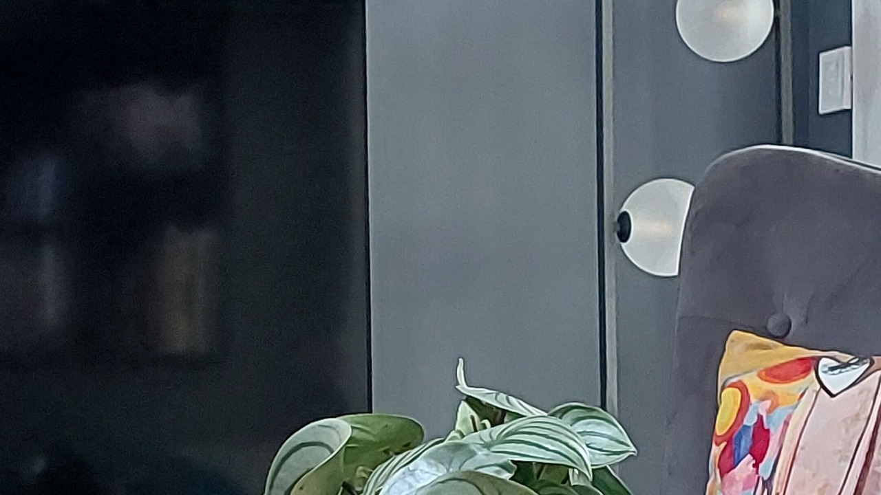 Photo of Others in Saucats